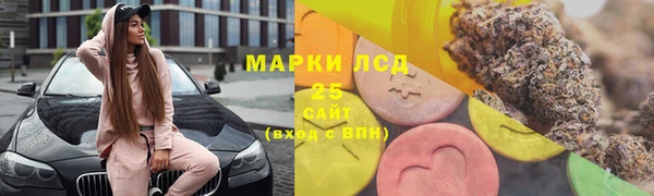 спайс Баксан