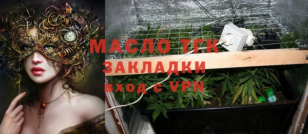гидра Арсеньев