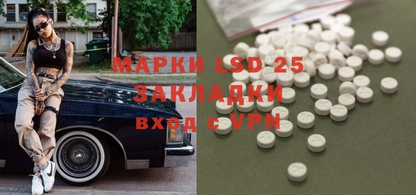 гашик Аркадак